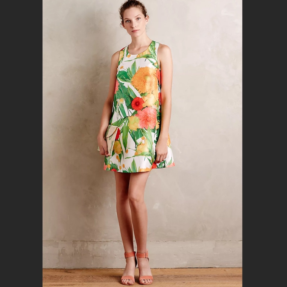 Anthropologie Jena Theo Naturalist Floral Dress